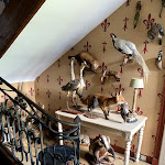 Photo n° 17 de l'avis de Larry.. fait le 17/07/2021 à 18:37 pour Château des Arpentis à Saint-Règle