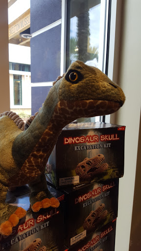 Museum «SKELETONS: Museum Of Osteology», reviews and photos, 8441 International Dr Suite 250, Orlando, FL 32819, USA
