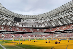 Luzhniki Stadium image
