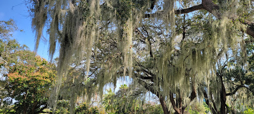 American Restaurant «Upper Eastside Farmers Market», reviews and photos, 6599 Biscayne Blvd, Miami, FL 33138, USA