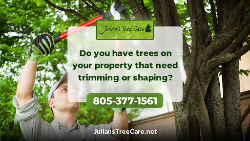Julian's Tree Care