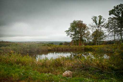 Winery «Priam Vineyards», reviews and photos, 11 Shailor Hill Rd, Colchester, CT 06415, USA