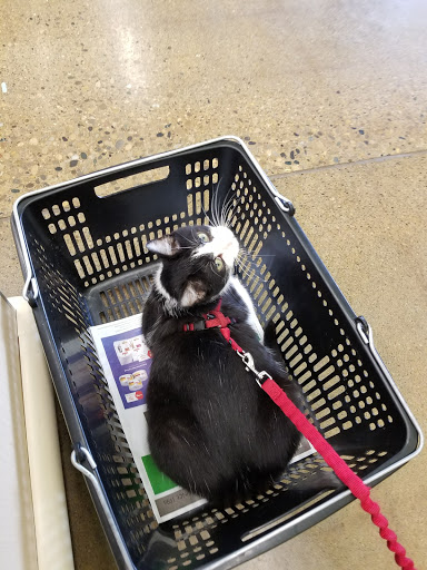 Pet Supply Store «Pet Supplies Plus», reviews and photos, 2180 Dixie Hwy, Fort Mitchell, KY 41017, USA