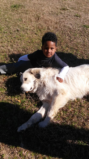 Wedding Venue «Rancho Alegre Farm», reviews and photos, 2225 Givens Rd, Dacula, GA 30019, USA