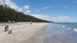 Photo de Toogoom 04 Beach avec rivage droit, long