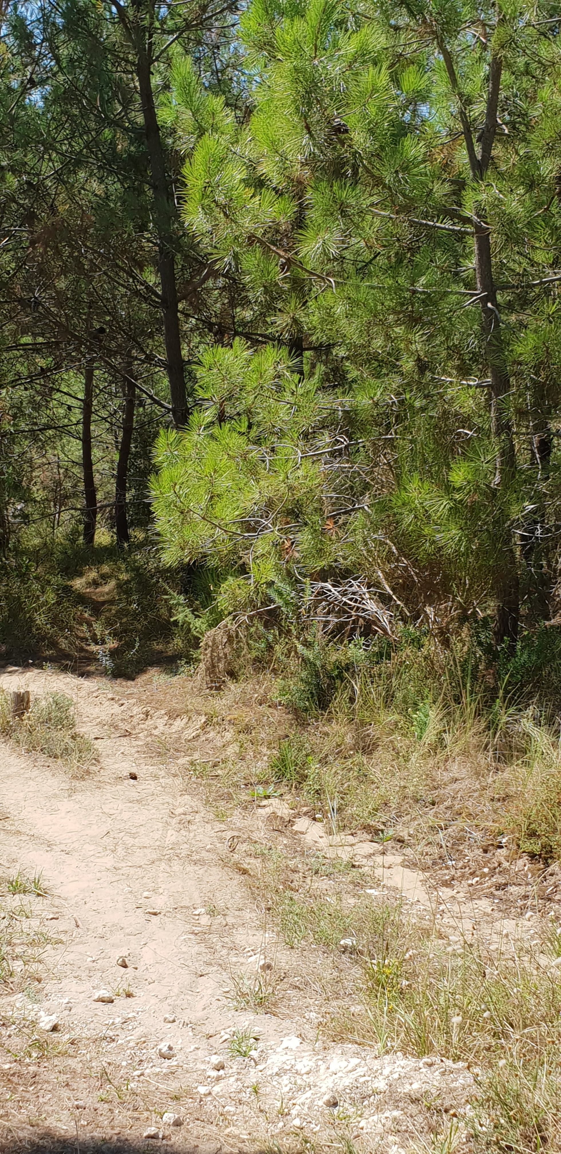 Photo n° 2 de l'avis de Amandine.n fait le 22/08/2018 à 10:03