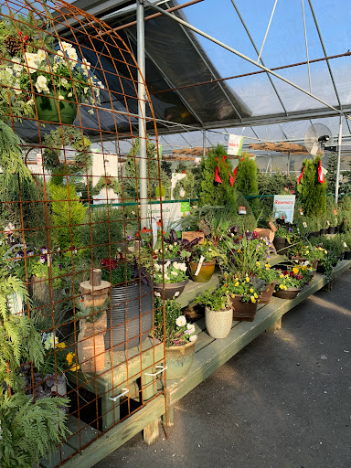 Garden Center «Pike Nurseries», reviews and photos, 615 W Crossville Rd, Roswell, GA 30075, USA