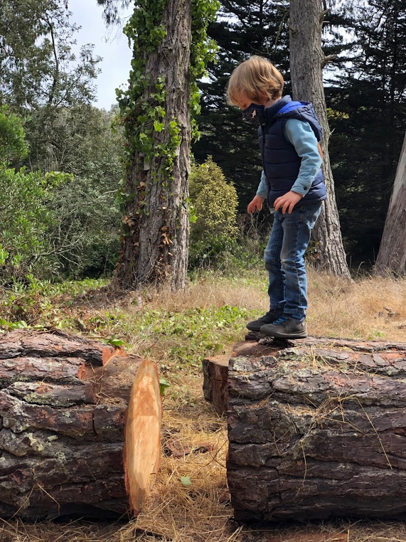 Wise Forest Preschool