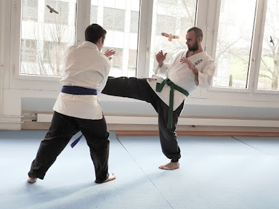Yoshinkan Dojo Zug - Aikijutsu, Kampfkunst und Selbstverteidigung