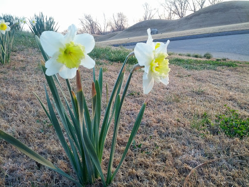 Golf Course «Gaylord Springs Golf Links», reviews and photos, 18 Springhouse Ln, Nashville, TN 37214, USA