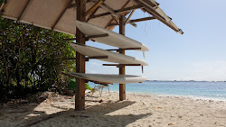Photo de One Love Beach zone des équipements