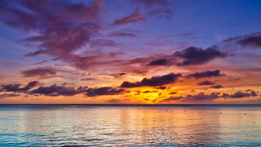 عيادة أوبسم ستوكوود بارك - OPSM Stockwood Park Clinic