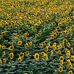 Photo n°4 de l'avis de alessandro.a fait le 25/06/2020 à 05:21 sur le  Il Caminetto à Campello sul Clitunno