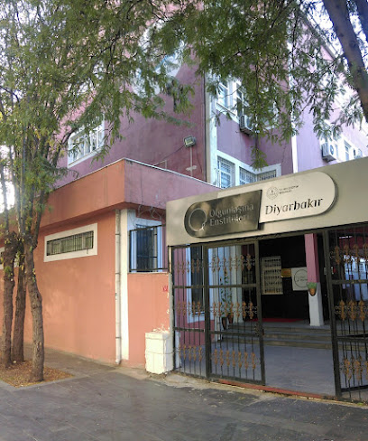 Diyarbakır Kız Teknik Öğretim Olgunlaşma Enstitüsü P.k.s.o. Ve Kız Meslek Lisesi