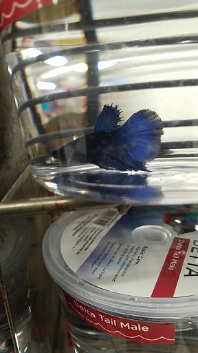 Pet Supply Store «Petco Animal Supplies», reviews and photos, 35 Fort Eddy Rd, Concord, NH 03301, USA