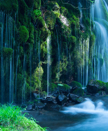 American Restaurant «Cracker Barrel Old Country Store», reviews and photos, 6941 Charlotte Pike, Nashville, TN 37209, USA