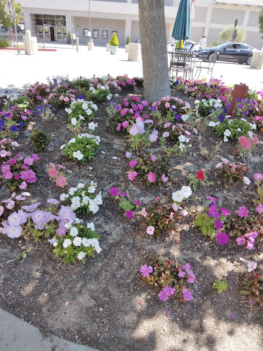 Shopping Mall «Del Monte Shopping Center», reviews and photos, 1410 Del Monte Center, Monterey, CA 93940, USA