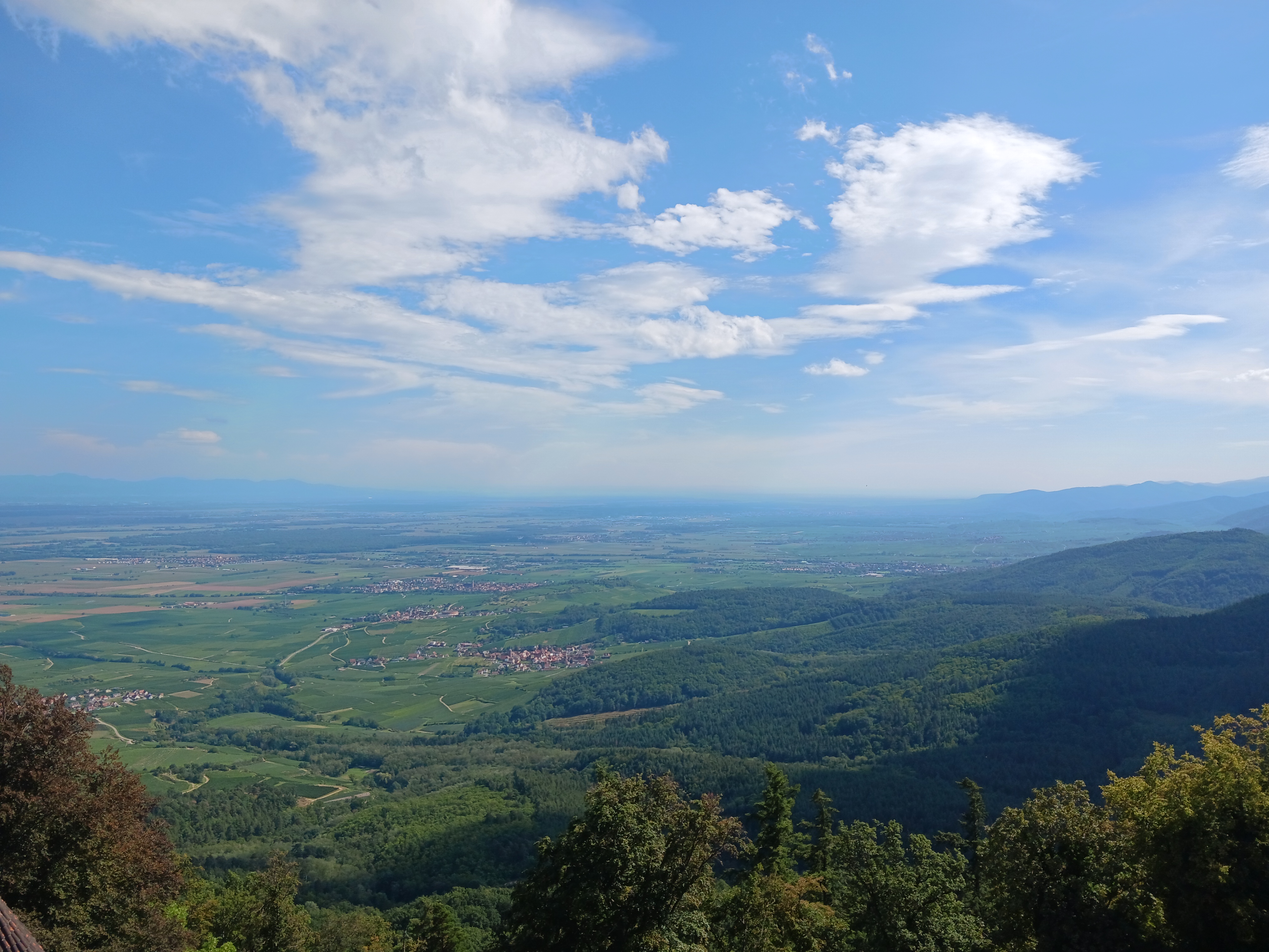 Photo n° 1 de l'avis de balltazard. fait le 16/08/2023 à 16:30