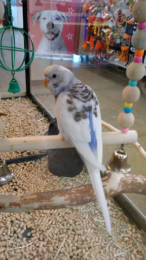 Variety Store «Five Below», reviews and photos, 846 Pelham Pkwy, Pelham, NY 10803, USA