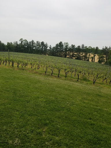 Vineyard «Elk Run Vineyards», reviews and photos, 15113 Liberty Rd, Mt Airy, MD 21771, USA