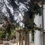 Photo n°25 de l'avis de Vaidya.r fait le 09/11/2022 à 04:54 sur le  Mayer's Waldhorn à Kusterdingen