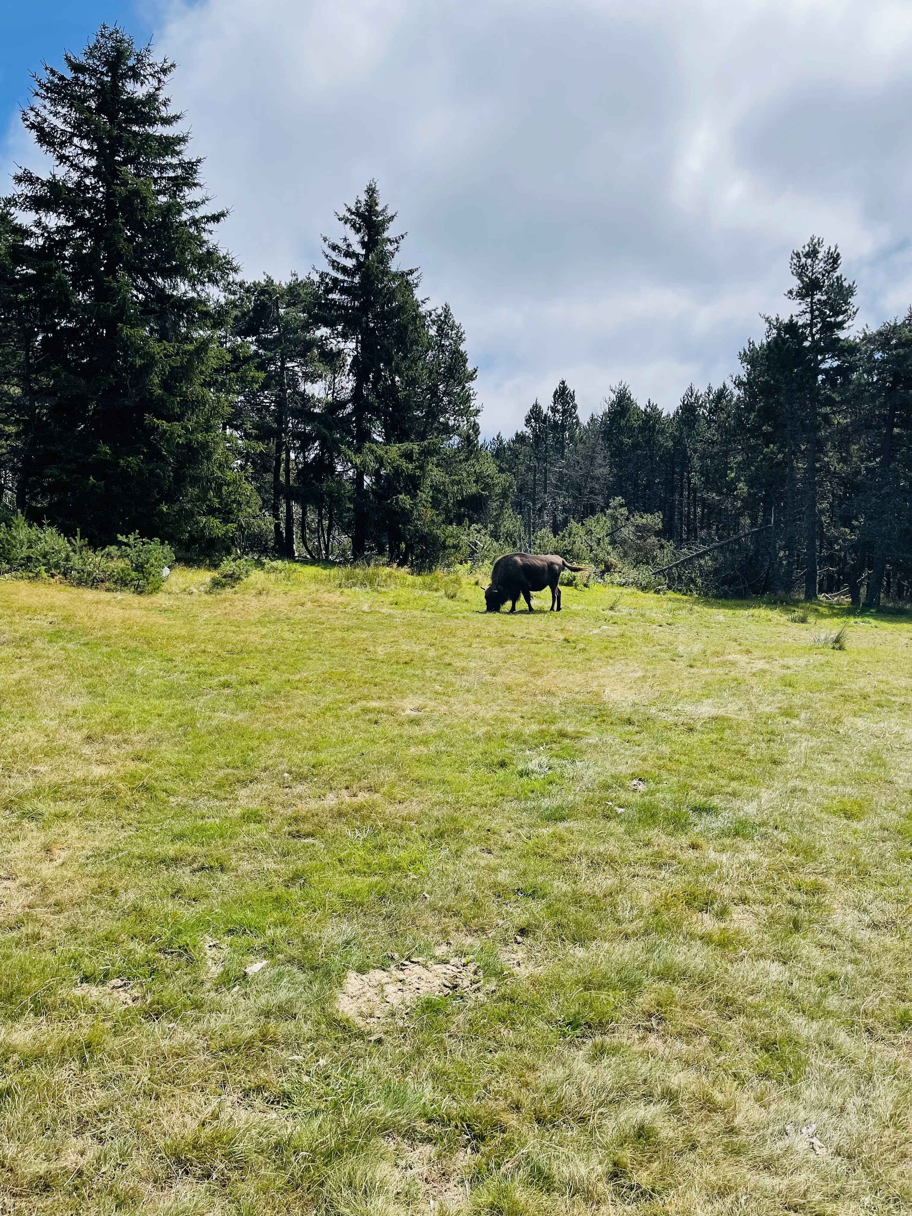 Photo n° 6 de l'avis de Karine.o fait le 30/08/2021 à 17:46