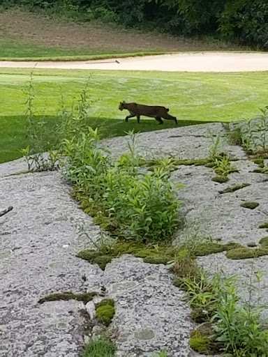 Country Club «Atkinson Resort & Country Club», reviews and photos, 85 Country Club Dr, Atkinson, NH 03811, USA