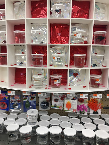 Pet Supply Store «Pet Supplies Plus», reviews and photos, 107 Erie Blvd W, Rome, NY 13440, USA