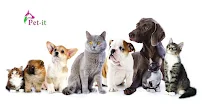 Pet-it - Car repair in Athens, Greece, Kingsport - Rated 4.5/5