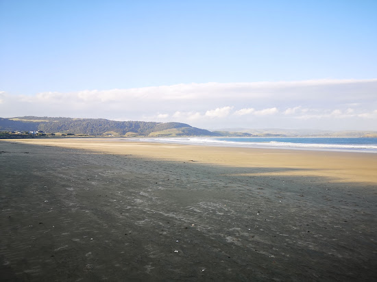 Curio Bay