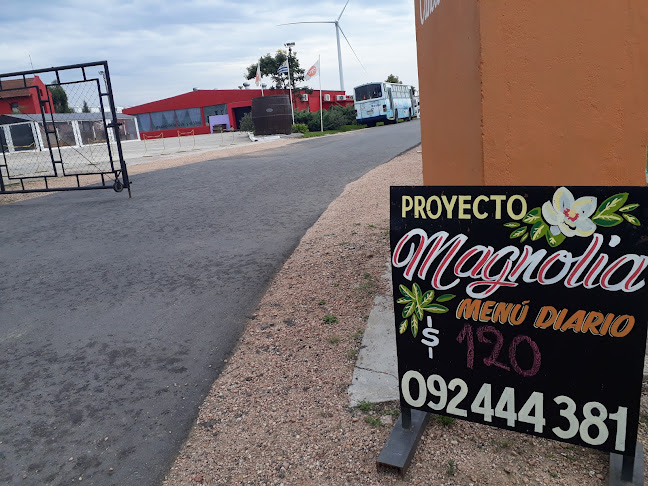 Opiniones de Proyecto Magnolia en Canelones - Tienda de ultramarinos