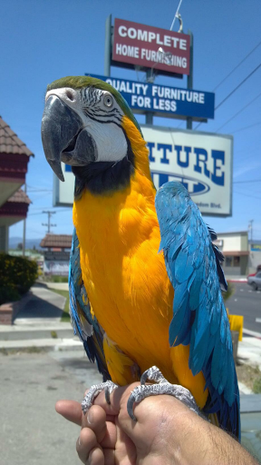 Furniture Store «Furniture Outlet & Appliances», reviews and photos, 1119 Freedom Blvd, Watsonville, CA 95076, USA