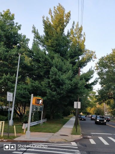 Golf Course «Silver Lake Golf Course», reviews and photos, 915 Victory Blvd, Staten Island, NY 10301, USA