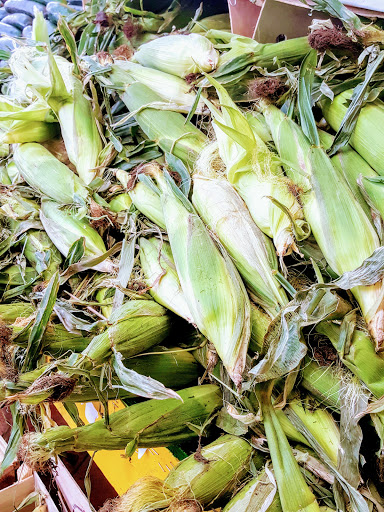 Produce Market «Jams Produce», reviews and photos, 1451 Clearwater Largo Rd N, Largo, FL 33770, USA