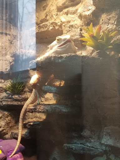 Pet Store «Marineland Pet Center», reviews and photos, 412 Oak Forest Dr, Onalaska, WI 54650, USA