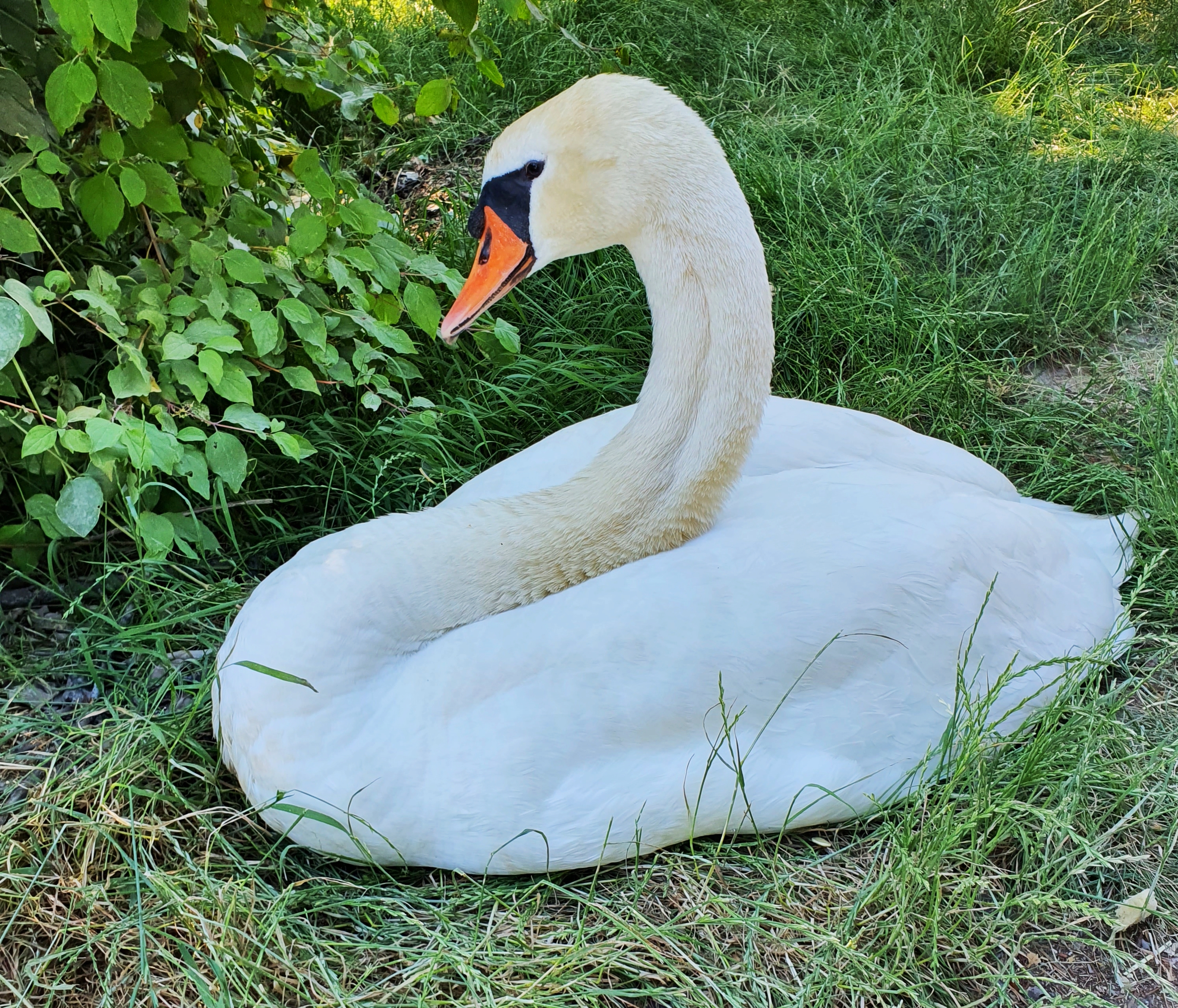 Photo n° 4 de l'avis de Elle. fait le 25/01/2022 à 10:51