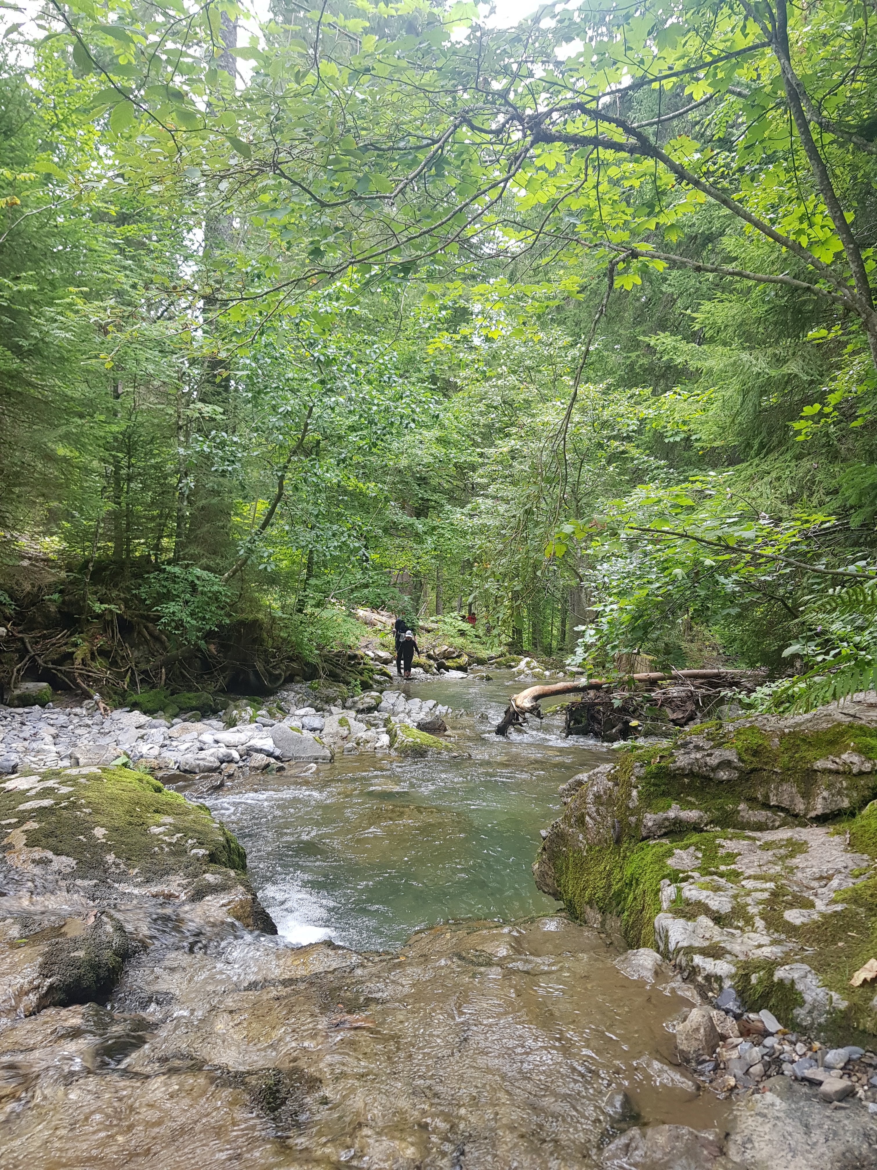 Photo n° 4 de l'avis de Vincent.e fait le 19/09/2019 à 11:09