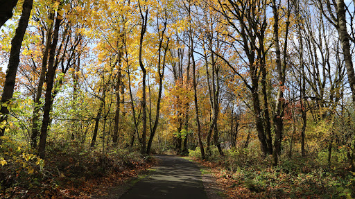 Park «Rood Bridge Park», reviews and photos, 4000 SE Rood Bridge Rd, Hillsboro, OR 97123, USA