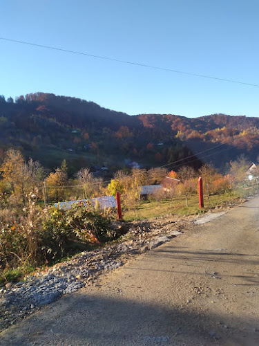 orar ŞCOALA CU CLASELE I-VIII IOAN SLAVICI