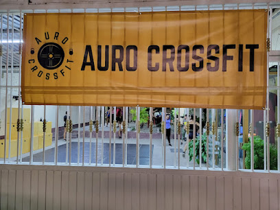 Auro CrossFit - 12 de Octubre 663, Coapinole, 48290 Puerto Vallarta, Jal., Mexico