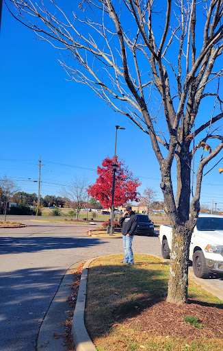 American Restaurant «Cracker Barrel Old Country Store», reviews and photos, 2115 S Church St, Murfreesboro, TN 37130, USA