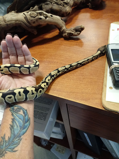 Pet Supply Store «PetSmart», reviews and photos, 1900 W International Speedway Blvd, Daytona Beach, FL 32114, USA