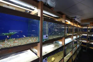 Aquarium Center Helmond image