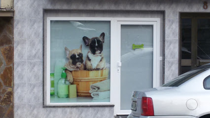 Elís Peluquería Canina - Servicios para mascota en Eibar
