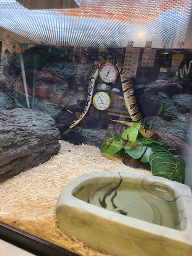 Pet Supply Store «Petco Animal Supplies», reviews and photos, 1255 Raritan Rd #140, Clark, NJ 07066, USA