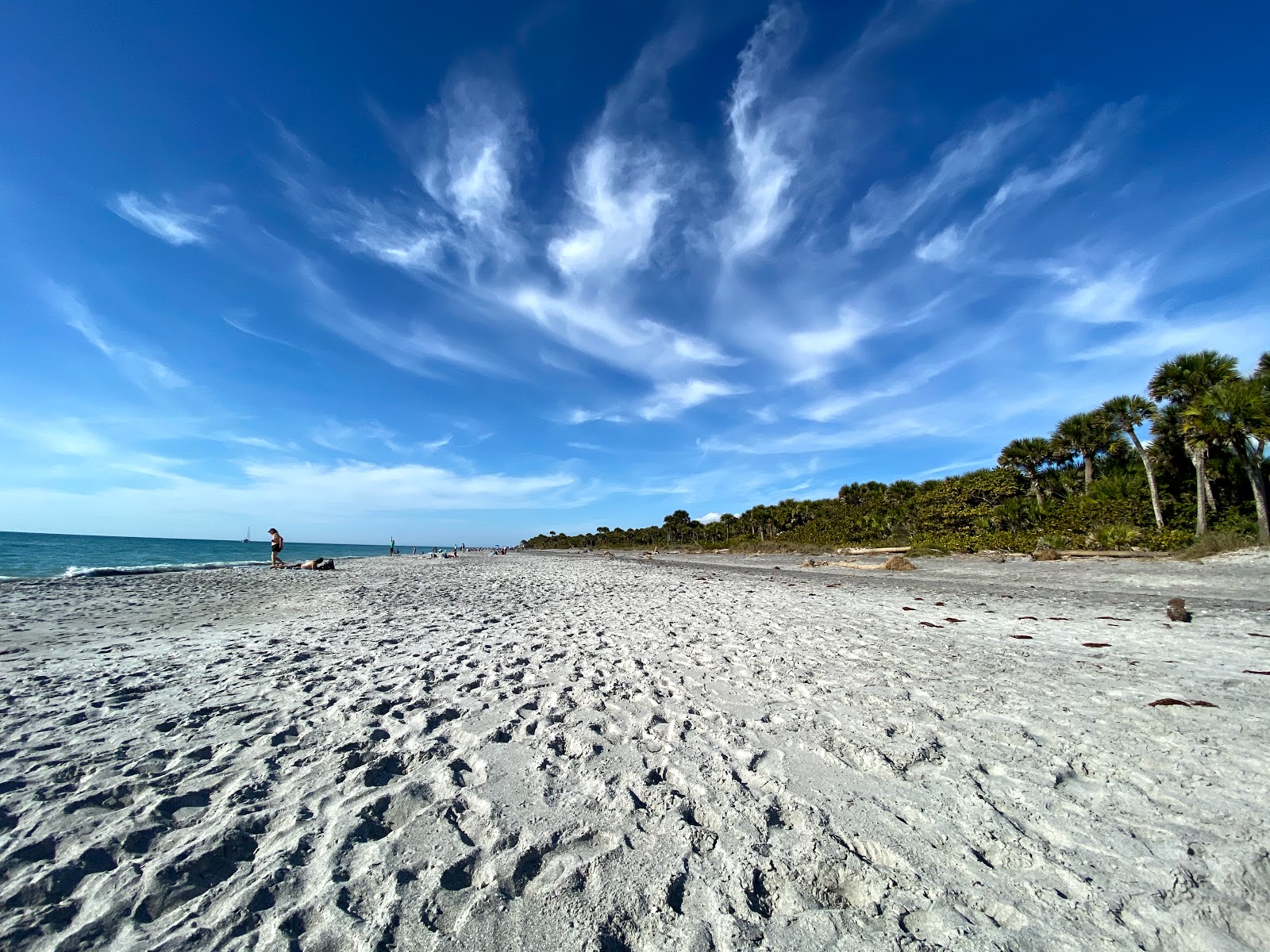 Caspersen beach photo #7