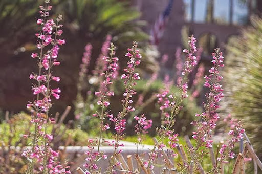 Federal Credit Union «Pima Federal Credit Union», reviews and photos