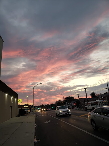 Discount Store «Dollar General», reviews and photos, 704 Garrett Rd, Upper Darby, PA 19082, USA