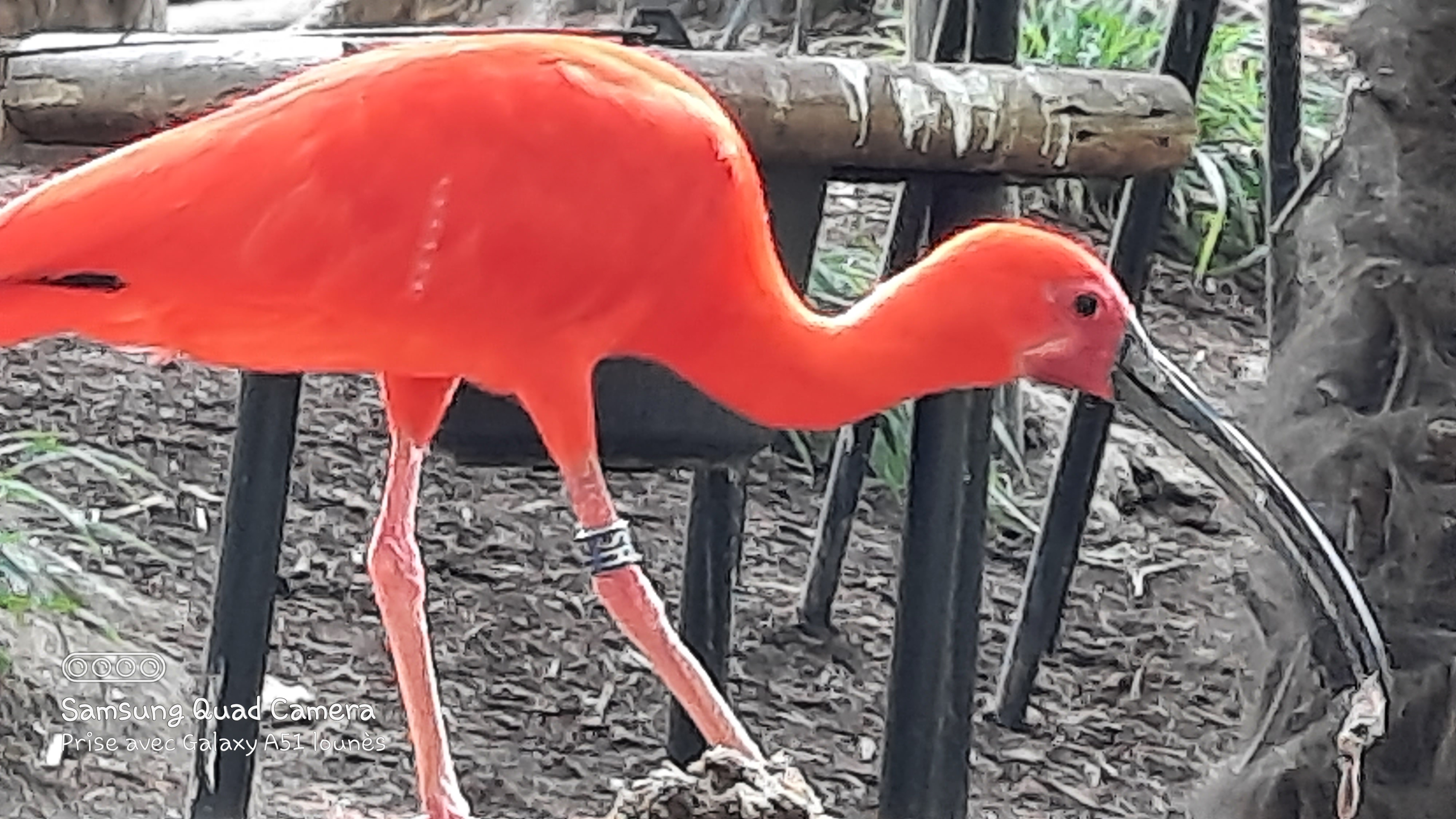 Photo n° 5 de l'avis de Lounes. fait le 02/06/2021 à 21:26