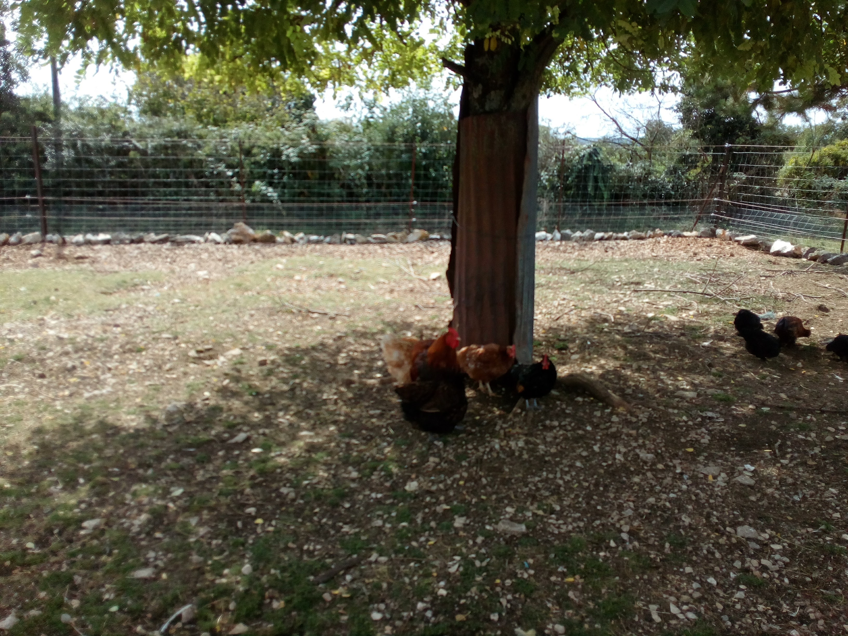 Photo n° 2 de l'avis de frederic.e fait le 04/09/2017 à 06:21